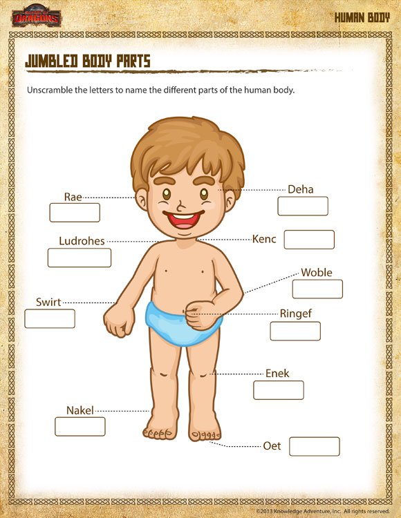 Jumbled Body Parts â Worksheet On Different Parts Of The Body